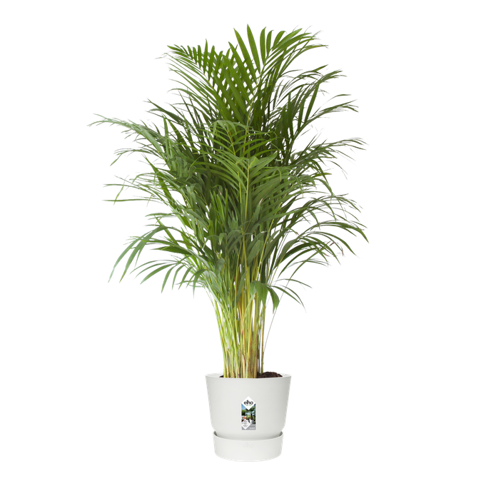 greenville round 40cm white